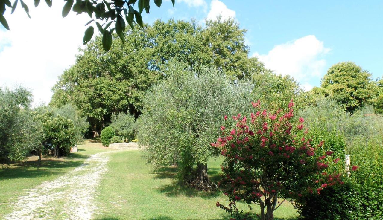 Poggiolindo B&B Каподімонте Екстер'єр фото